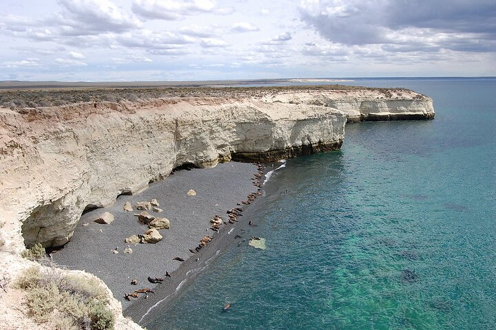 Puerto Madryn Private City Tour Including Punta Loma Sea Lions Reserve - Photo 1 of 12