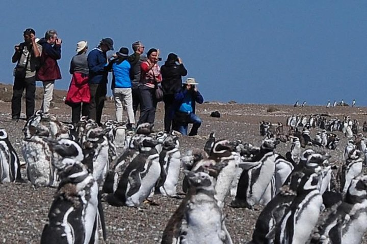 Peninsula Valdés Provincial Reserve