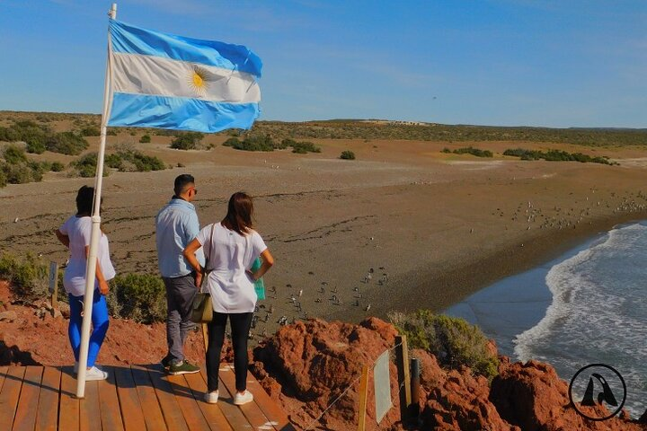 Punta Tombo with Puerto Madryn Shore Excursions Tours - Photo 1 of 8