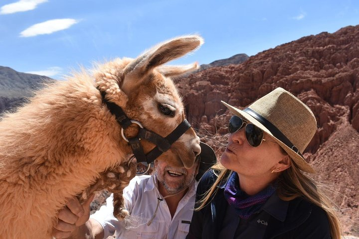 LlamaSelfie