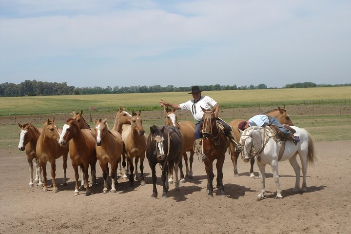 A Day at the estancia .