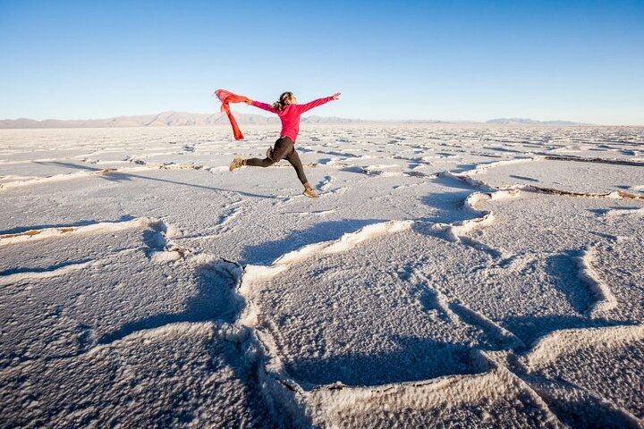 Great Salt Flats