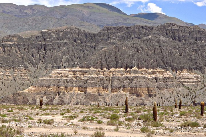 Salinas Grandes and San Antonio de los Cobres from Salta - Photo 1 of 7