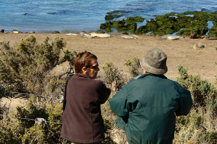 Shore Excursion Peninsula Valdes/Punta Tombo - Special Bus Madryn - Photo 1 of 9