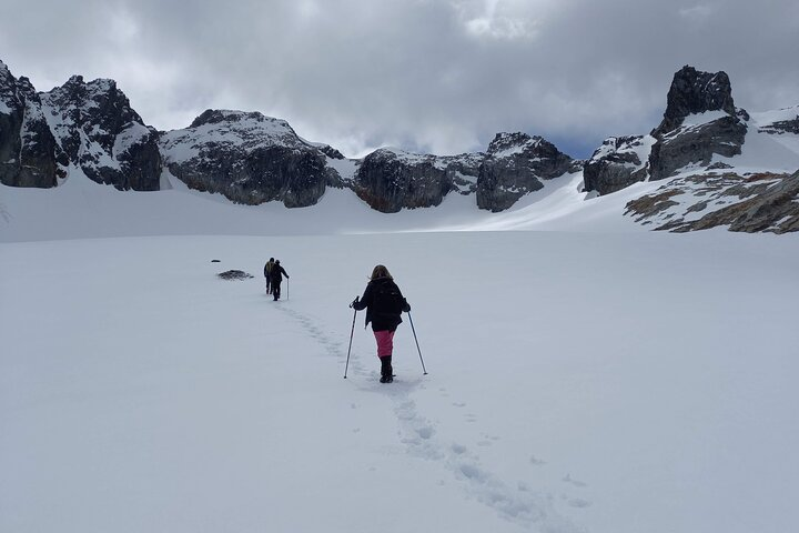 Small group Trekking to Albino Glacier - Photo 1 of 7