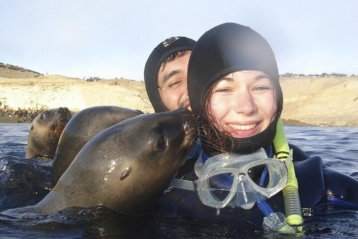 Snorkeling with Sea Lions