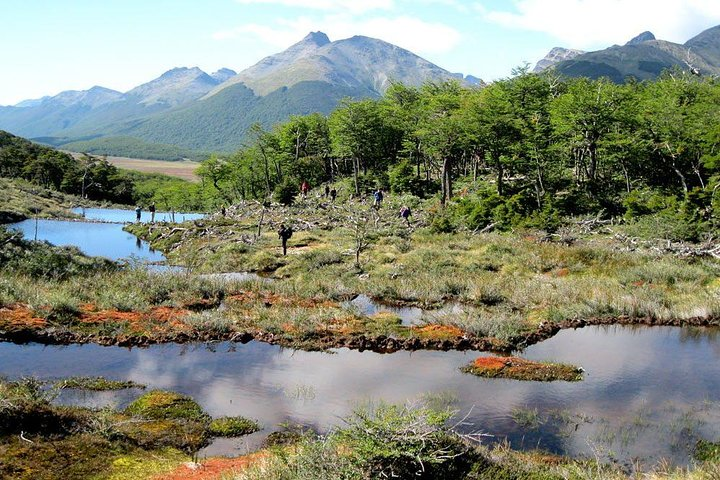 Tierra del Fuego Nat Park