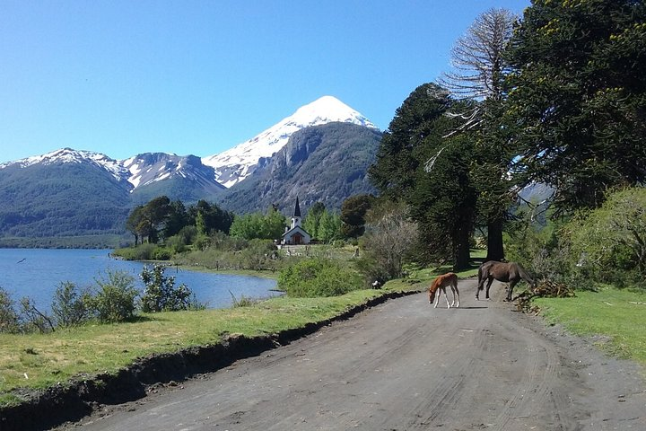 Tour of the Lanin Volcano and Huechulafquen Lake - Photo 1 of 4