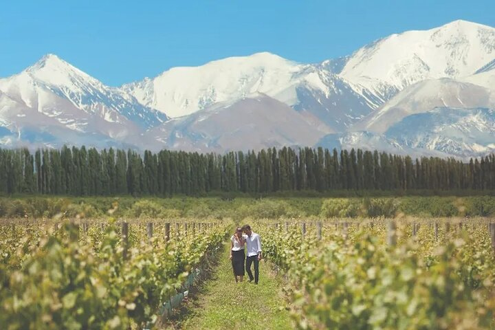 Vineyards with Wine Tasting in Mendoza