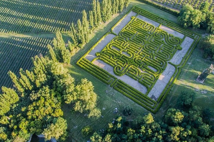 Wine and literature tour in Mendoza: trip to the Borges Labyrinth - Photo 1 of 13