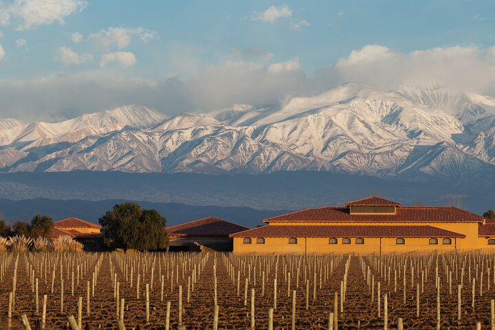 Wine Tour with Lunch and Transport in Mendoza - Photo 1 of 10