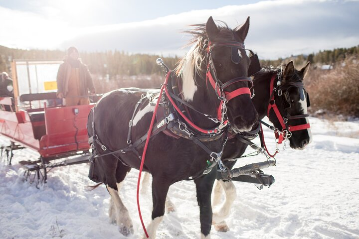 Christmas Horse-Drawn Sleigh Ride from Salzburg - Photo 1 of 11