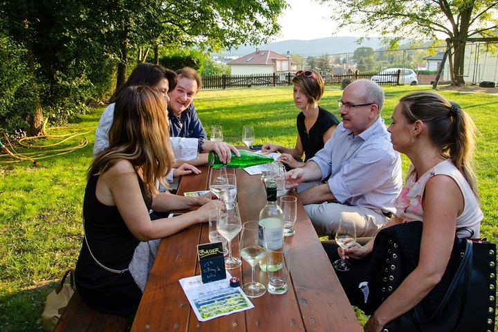 Wine Tour in Weinviertel