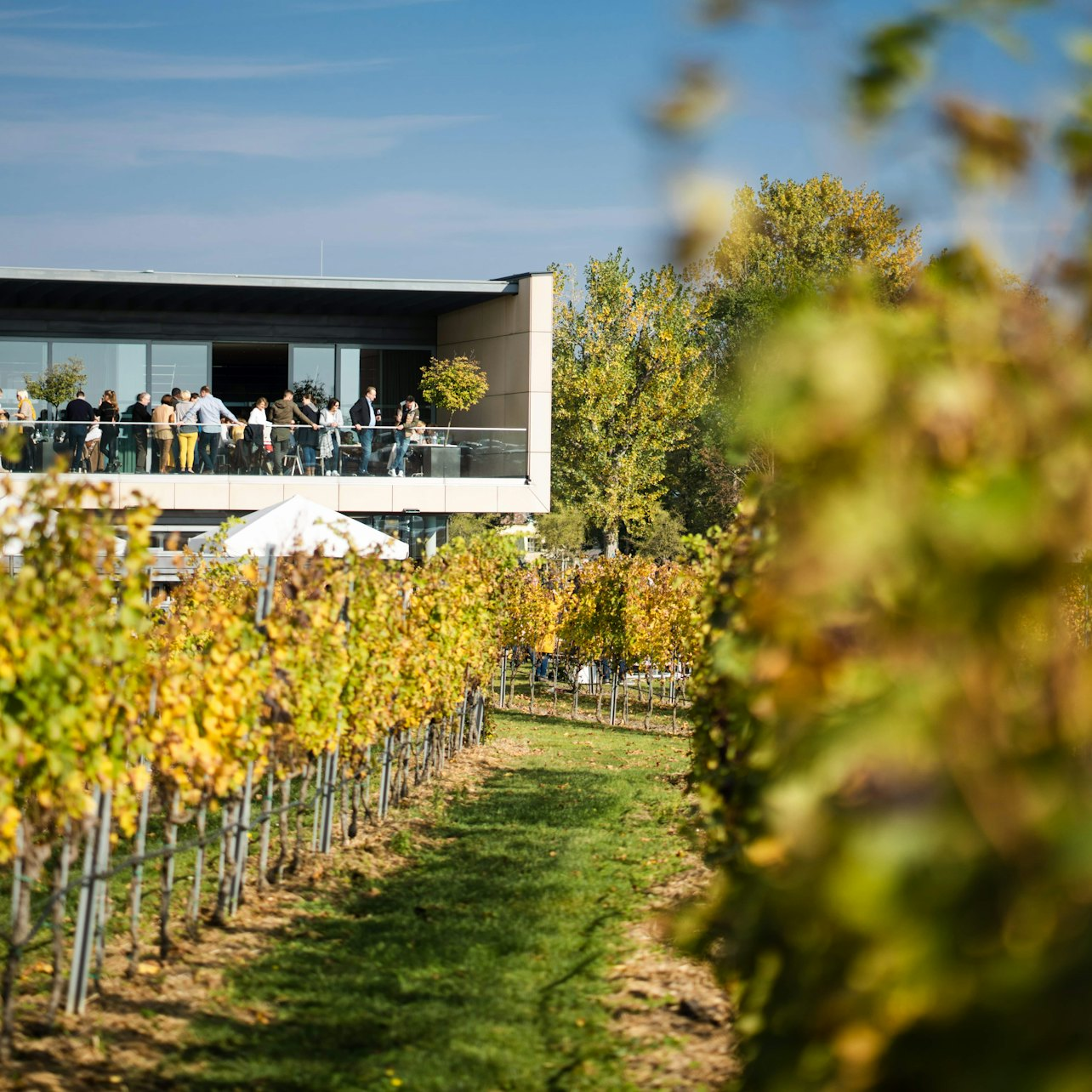 Esterházy Winery Experience - Photo 1 of 1