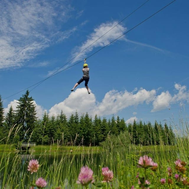 Hornpark Climbing Forest - Photo 1 of 5