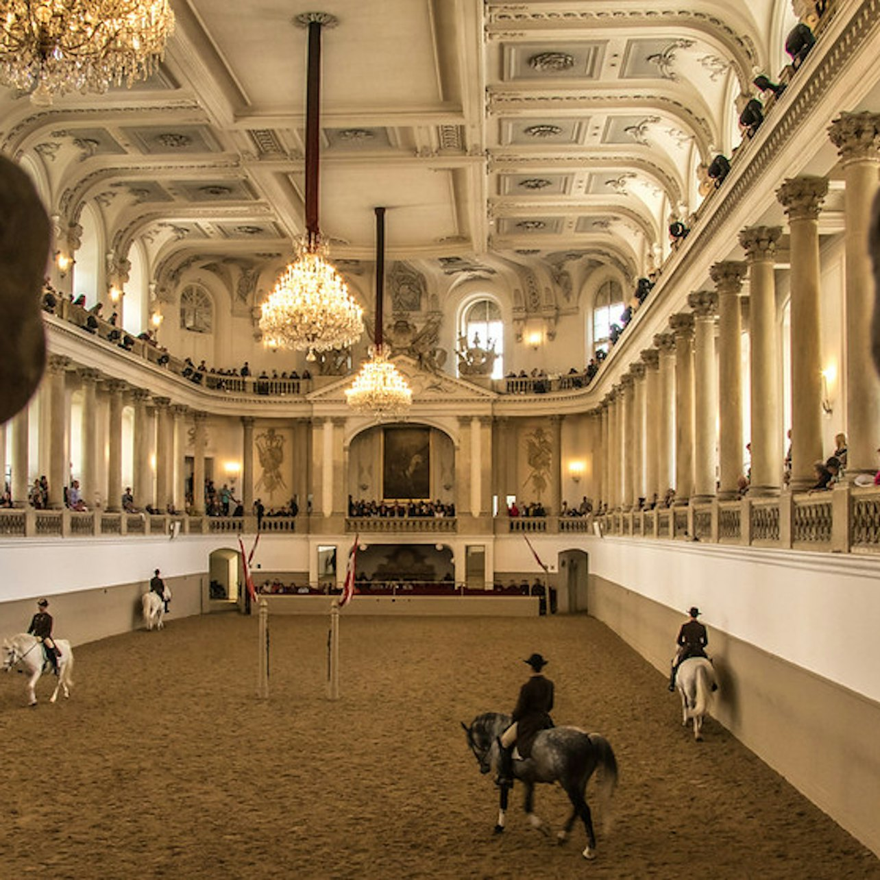 Horse Training at the Spanish Riding School - Photo 1 of 1