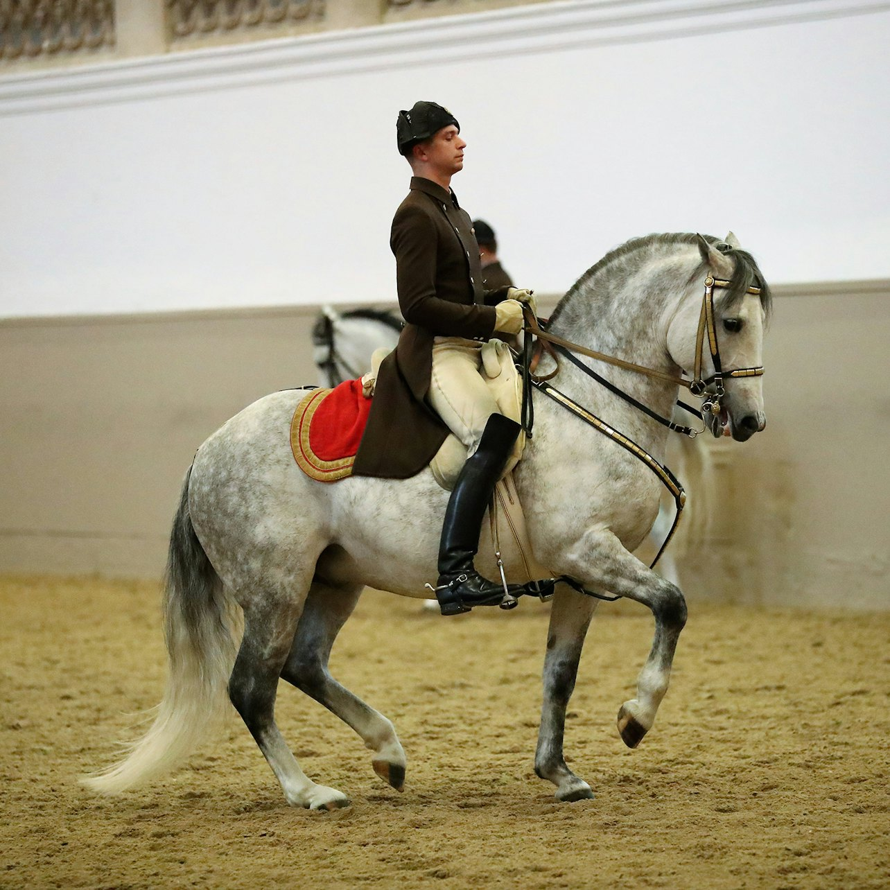 Lipizzaner Performance at the Spanish Riding School - Photo 1 of 5