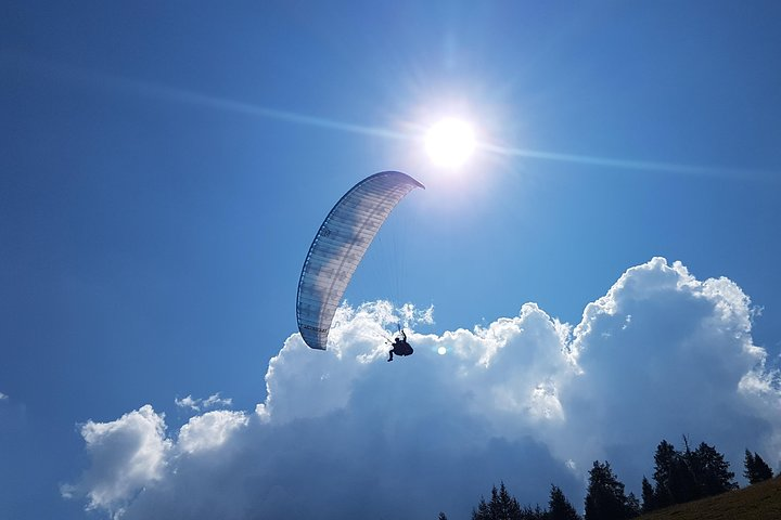 Paragliding and tandem flights in the Stubai Valley - Photo 1 of 11