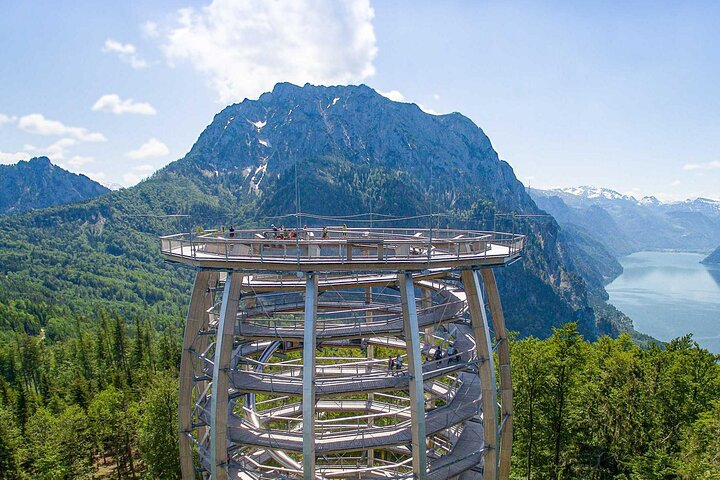 Treetop Walk