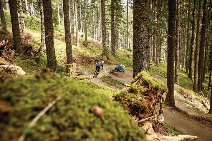 Two hours guided downhill biking at Bikepark Innsbruck  - Photo 1 of 4