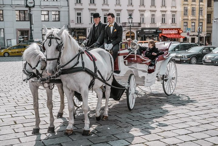 Vienna Horse-Drawn Carriage Ride with Sparkling Wine and Food - Photo 1 of 6