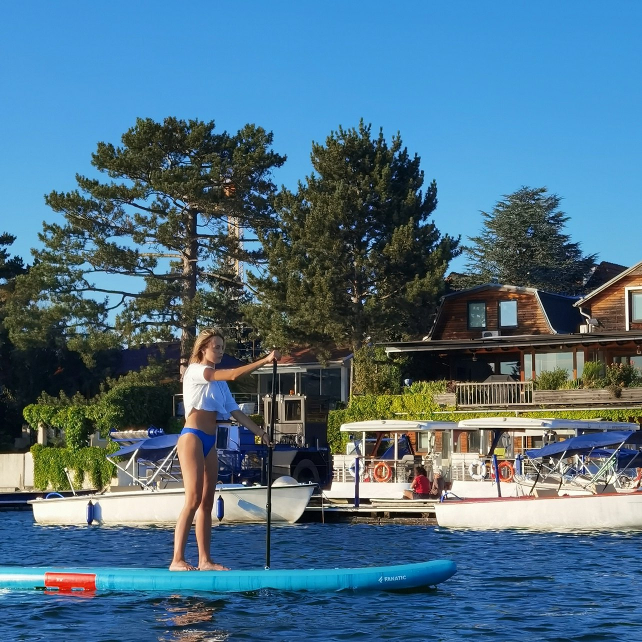 Vienna: Stand-Up Paddleboard Rental - Photo 1 of 3