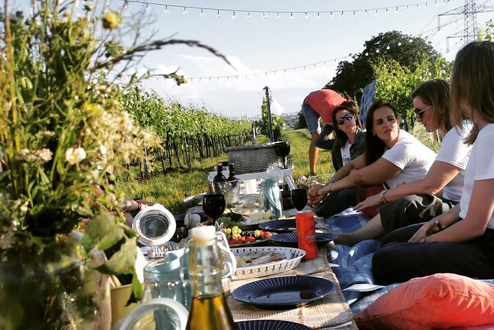 Wine Picknick overlocking vienna  - Photo 1 of 11