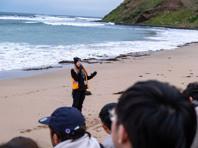 1 Day Phillip Island Tour - Photo 1 of 6