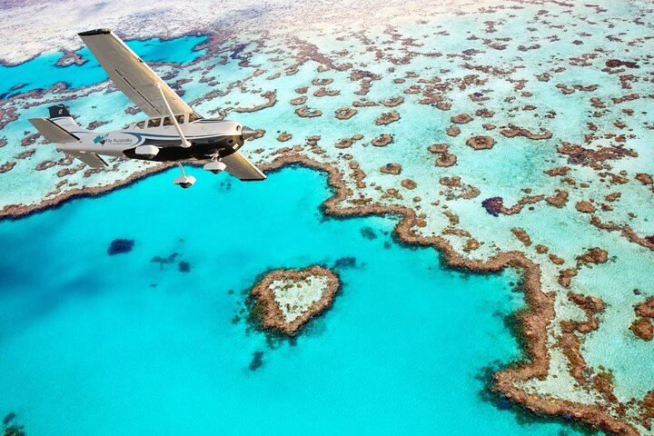 The Heart of the Reef!