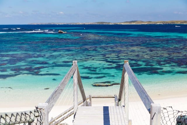 11:15am Rottnest Bayseeker Package - Departing from Fremantle - Photo 1 of 6