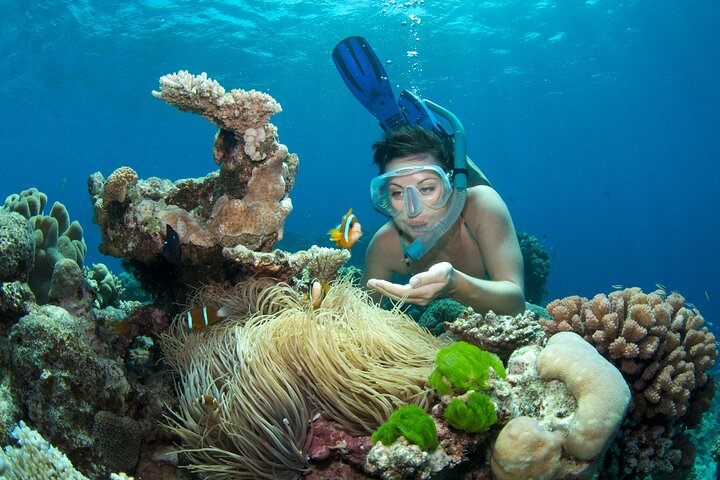 2-Day Snorkeling Experience in Great Barrier Reef (Twin Share Cabin) - Photo 1 of 9