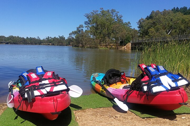 2-Hour Kayaking Experience in Barossa Valley - Photo 1 of 6