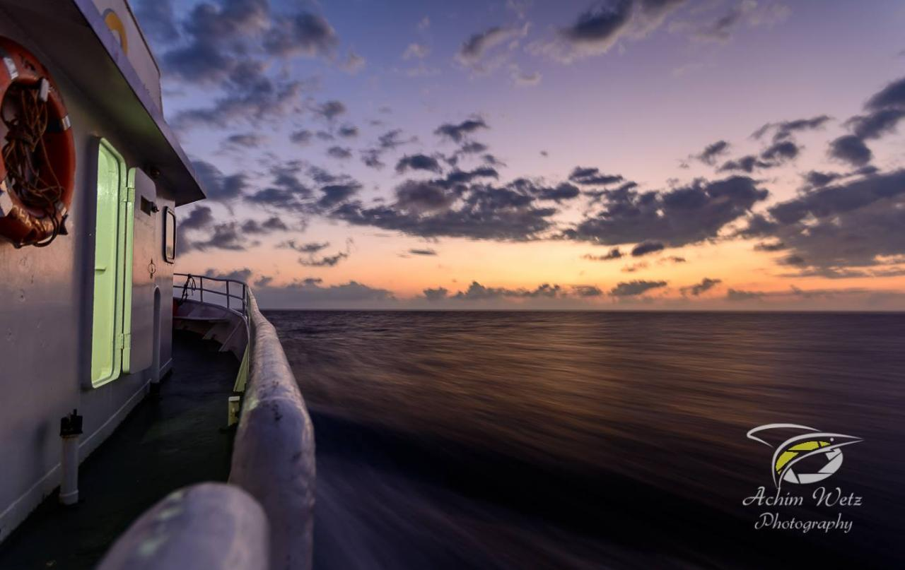 3 Day 3 Night  - Reef and Yongala Liveaboard Trip - Photo 1 of 6