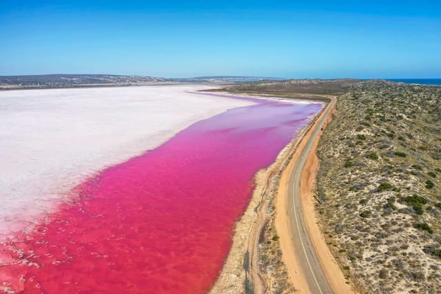 3-Day Pink Lake Tour From Perth: Lancelin Sandboarding, Pinnacles Dessert, Lobster Meal, Hutt Lagoon, Kalbarri & Nambung National Parks, Central Greenough, Lean Tree | Western Australia - Photo 1 of 10