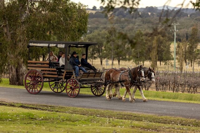  3- Hour Wine and Harvest the Hunter Horse Tour in Pokolbin - Photo 1 of 6