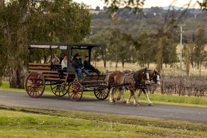  3- Hour Wine and Harvest the Hunter Horse Tour in Pokolbin - Photo 1 of 6