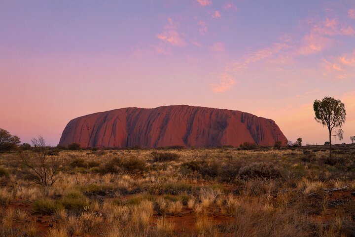 4 Day Red Centre Kings Canyon West MacDonnell from Alice Springs - Photo 1 of 23