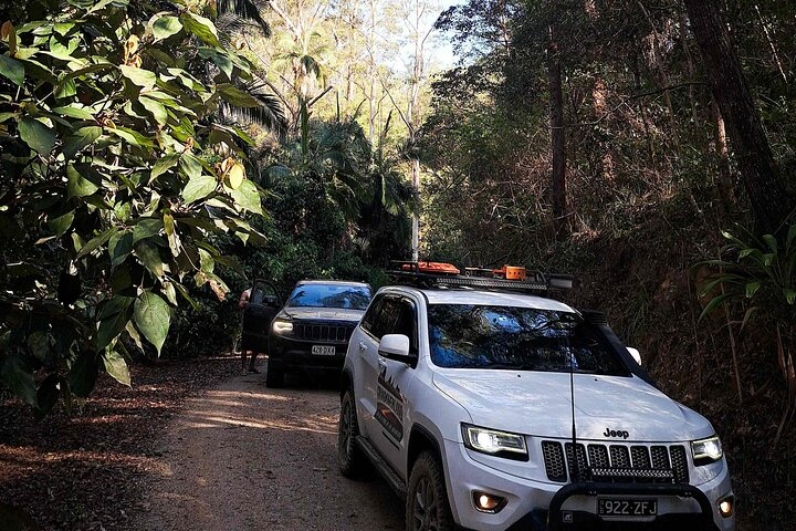 4WD Guided Day Trip In D'Aguilar National Park - Photo 1 of 6