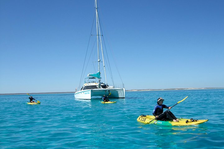 Kayaking from Shore Thing