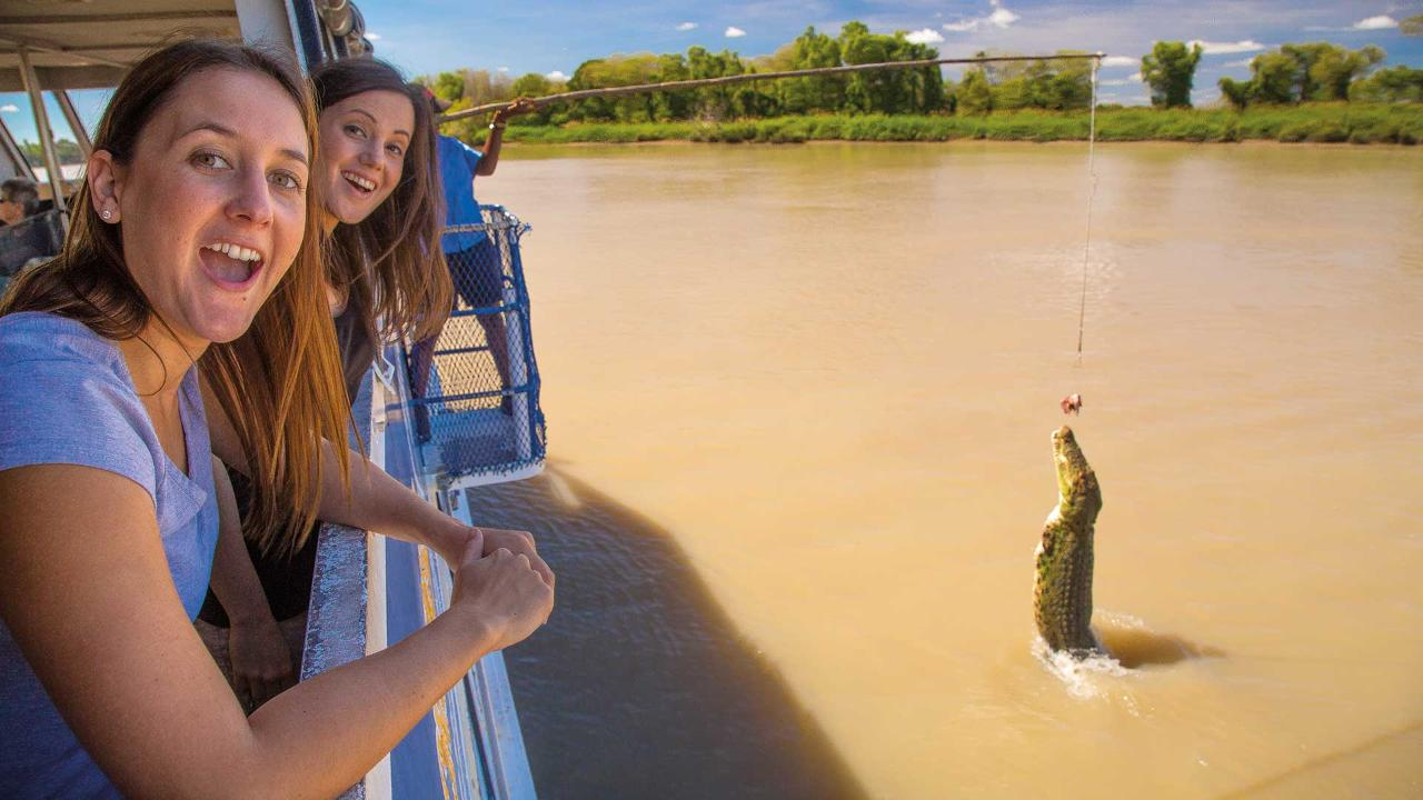 Jumping Crocs & Nature Adventure Tour - Photo 1 of 2