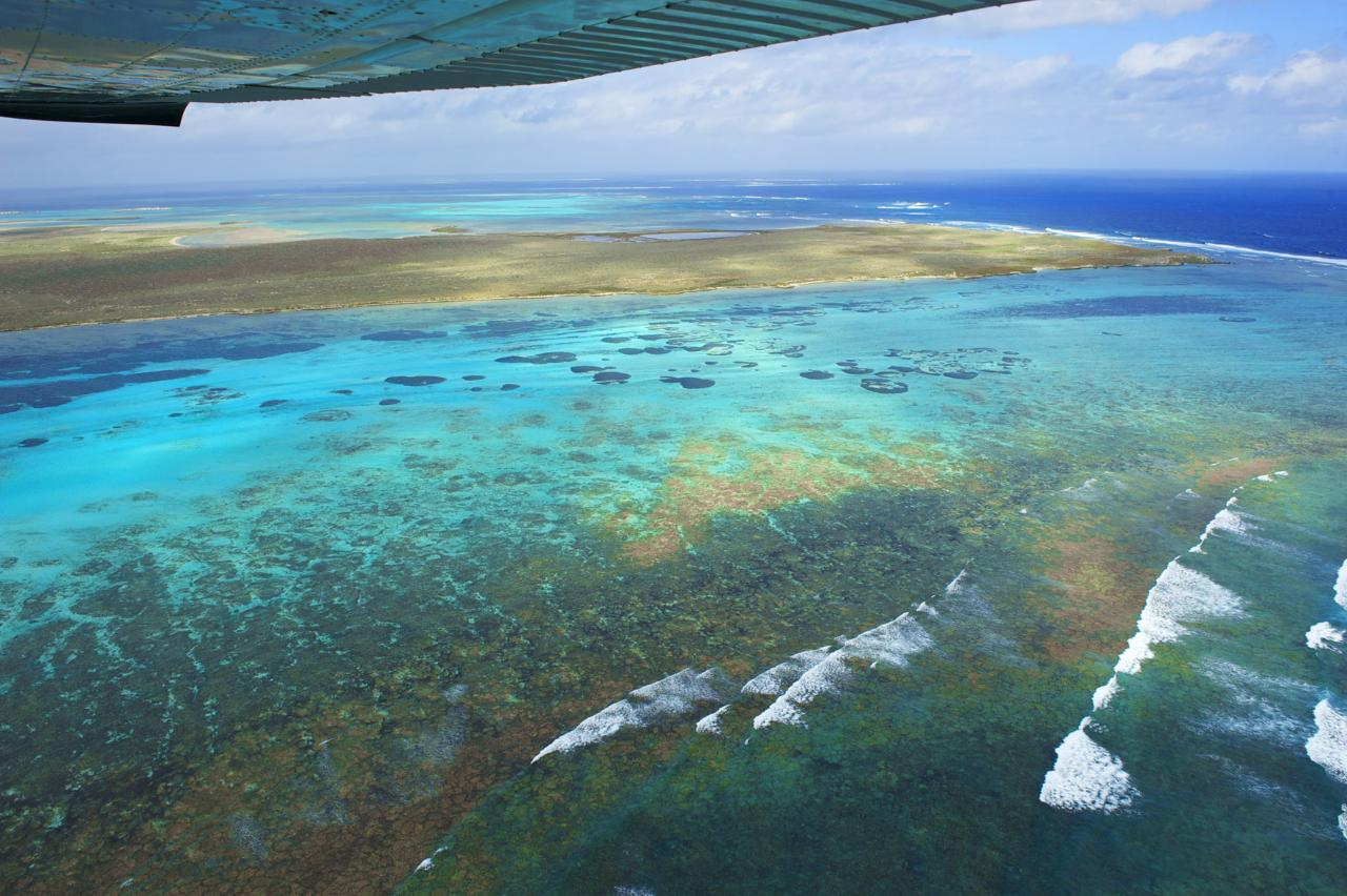 Abrolhos Island Discovery Full Day Tour with Pink Lake add-on From Geraldton - Photo 1 of 4