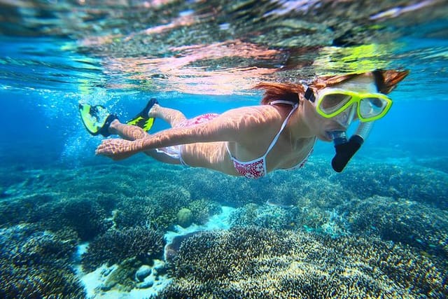 Snorkeling at Abrolhos 