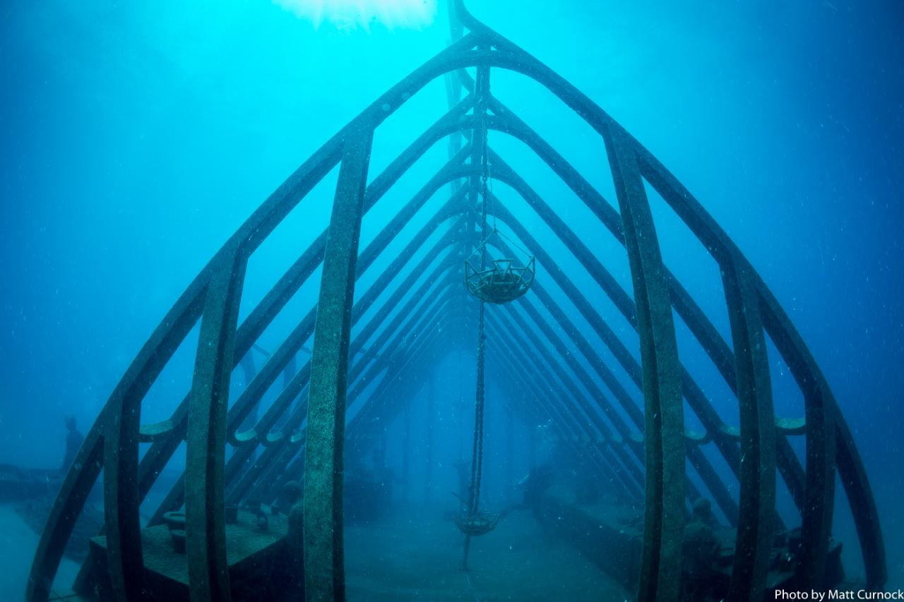 Adrenalin - Great Barrier Reef and MOUA Day Trip - Certified Diver (Departs Townsville and Magnetic Island) - Photo 1 of 5