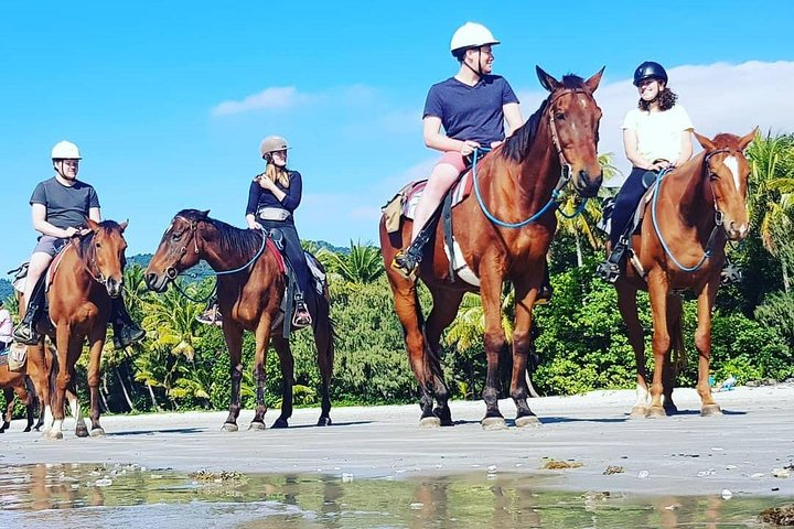 Afternoon Beach Horse Ride in Cape Tribulation - Photo 1 of 7