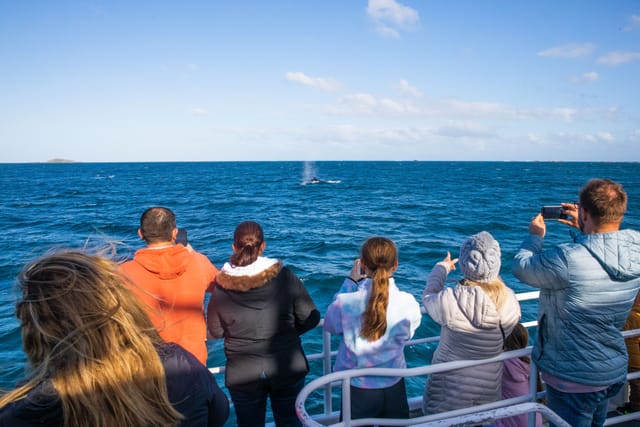 Augusta Whale Watching Tour - Photo 1 of 10