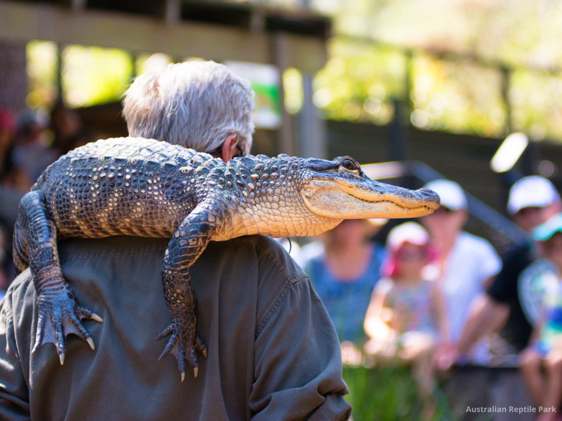 Australian Reptile Park Admission Ticket - Photo 1 of 25