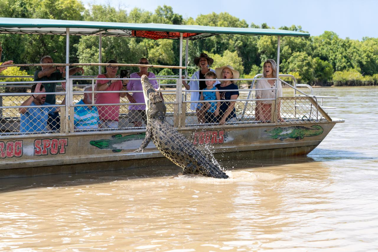 Autopia Tours: Jumping Crocodile Tour from Darwin - Photo 1 of 20