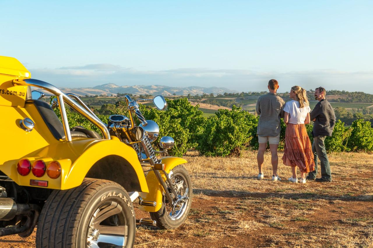 Barossa Food & Wine Trail on an Exhilarating Trike (TC) - Photo 1 of 8