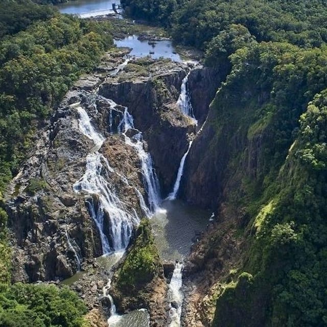 Barron Falls, Cattana Wetlands & Skyrail Rainforest Cableway: Tour + Lunch - Photo 1 of 11