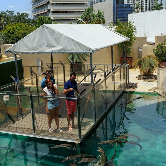 Big Croc Encounter VIP Tour - Photo 1 of 6